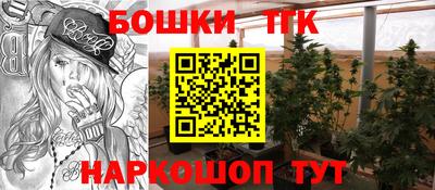 гидра Будённовск