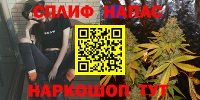 гидра Будённовск