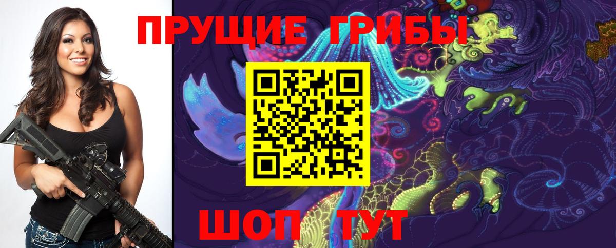 Псилоцибиновые грибы Psilocybine cubensis  Галлюциногенные грибы мухоморы  Санкт-Петербург  Вход с VPN 