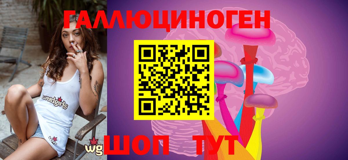 Псилоцибиновые грибы мицелий Санкт-Петербург